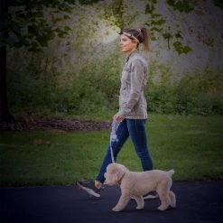 Patina Stores Rechargeable LED Headlamp