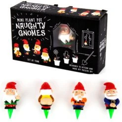 Patina Stores Naughty Gnomes