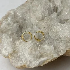 Patina Stores Crescent Moon Earrings Jewelry