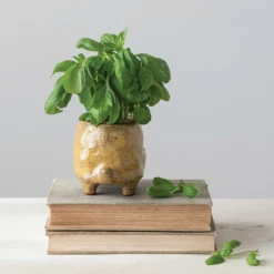 Patina Stores Garden Turtle Pot