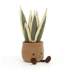 Patina Stores Plush Snake Plant Garden