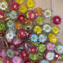 Patina Stores Pressed Flower Magnet