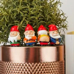 Patina Stores Naughty Gnomes