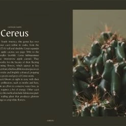 Patina Stores Plantopedia Book Garden