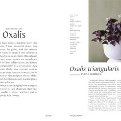 Patina Stores Plantopedia Book Garden