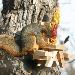 Patina Stores Squirrel Picnic Table Feeder 1 Patina Stores Squirrel Picnic Table Feeder
