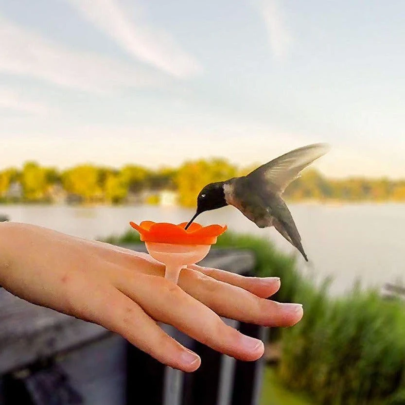 Patina Stores Hummingbird Feeder Ring Garden 1 Patina Stores Hummingbird Feeder Ring Garden