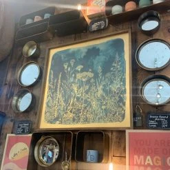 Patina Stores Blue Wildflower Wall Art