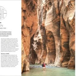 Patina Stores Men USA National Parks Book