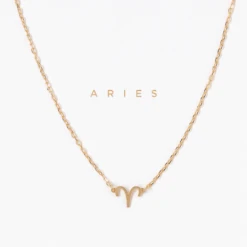 Patina Stores Zodiac Necklace Graduation Gifts