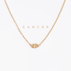 Patina Stores Zodiac Necklace Graduation Gifts