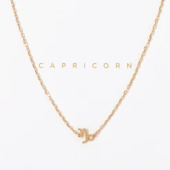 Patina Stores Zodiac Necklace Graduation Gifts