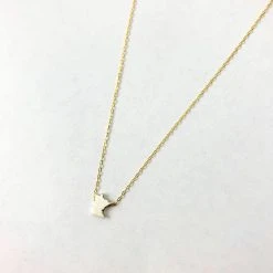 Patina Stores Tiny Mixed Metal MN Necklace