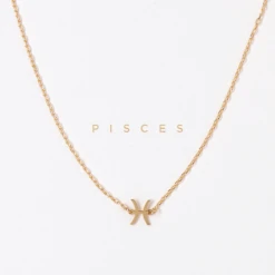 Patina Stores Zodiac Necklace Graduation Gifts