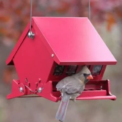 Patina Stores Red Bird Feeder