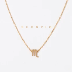 Patina Stores Zodiac Necklace Graduation Gifts