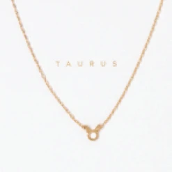 Patina Stores Zodiac Necklace Graduation Gifts