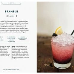 Patina Stores Essential Cocktail Book