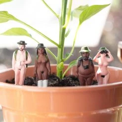 Patina Stores Mini Naked Rambler Plant Decor Garden