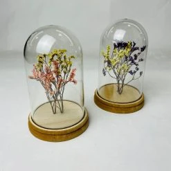 Patina Stores Dried Floral Cloches Home Goods