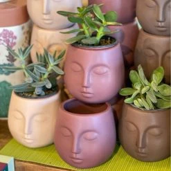 Patina Stores Garden Round Face Pot