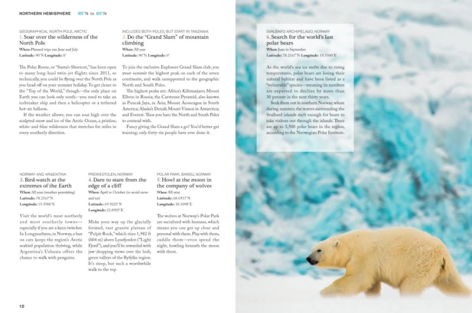 Patina Stores The Bucket List 1000 Adventures Book 3 Patina Stores The Bucket List 1000 Adventures Book