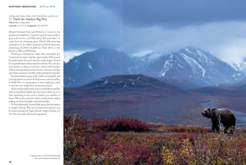 Patina Stores The Bucket List 1000 Adventures Book 6 Patina Stores The Bucket List 1000 Adventures Book