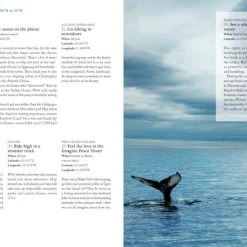 Patina Stores The Bucket List 1000 Adventures Book 14 Patina Stores The Bucket List 1000 Adventures Book