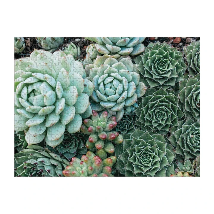 Patina Stores Succulent Garden Double-Sided 500pc Puzzle 2 Patina Stores Succulent Garden Double-Sided 500pc Puzzle