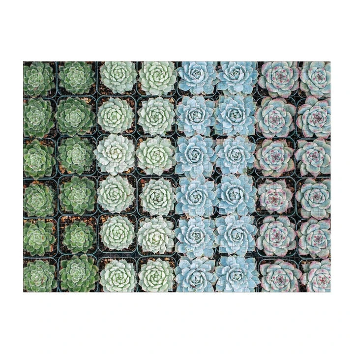 Patina Stores Succulent Garden Double-Sided 500pc Puzzle 3 Patina Stores Succulent Garden Double-Sided 500pc Puzzle