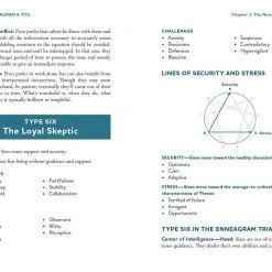 Patina Stores The Enneagram & You Book