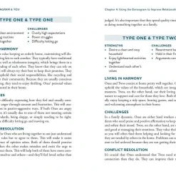 Patina Stores The Enneagram & You Book