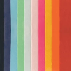 Patina Stores Assorted Solid Tissue Paper Pack Gift Bags